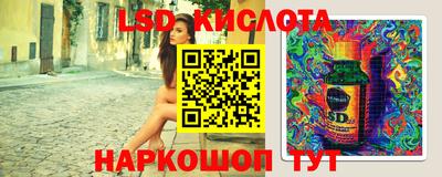 стафф Краснознаменск